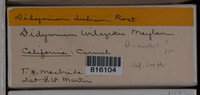Image Associated With the Occurence